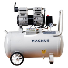 Компрессор воздушный безмасляный Magnus P-205/24OF