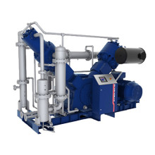 Компрессор поршневой DALGAKIRAN PETMASTER 50