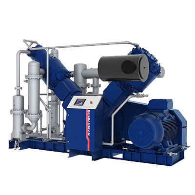 Компрессор поршневой DALGAKIRAN PETMASTER 270 VSD Компрессор поршневой DALGAKIRAN PETMASTER 270 VSD