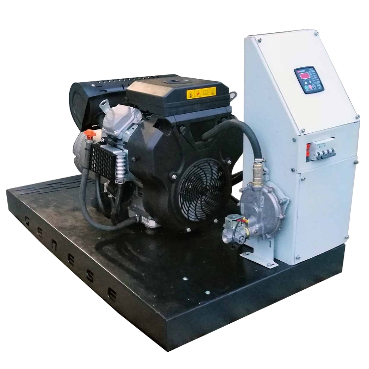 Газовый генератор Genese Standard 12000 (открытое исполнение) Газовый генератор Genese Standard 12000 (открытое исполнение)
