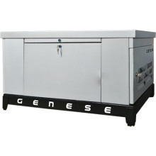 Газовый генератор Genese GE60 (в шумозащитном кожухе) Газовый генератор Genese GE60 (в шумозащитном кожухе)