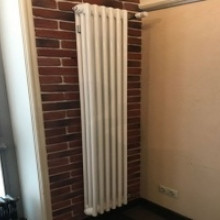 Радиатор отопления Arbonia 3180/06 N12 3/4 RAL 9016