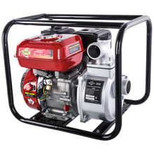 Мотопомпа бензиновая DDE PN81 Мотопомпа бензиновая DDE PN81